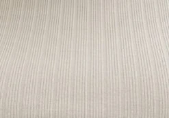 Long Sleeve Ribbed Knit Top -GLASSONS CLOTHING chutney crew neck what the shell imagefront kl79026vn