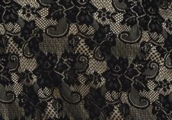 Lace Midi Slip Skirt -GLASSONS CLOTHING co lorna lace midi skirt blacknude imagefront sl108106lac