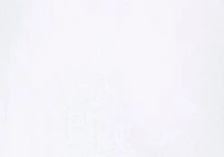 Lace Midi Slip Skirt -GLASSONS CLOTHING co lorna lace midi skirt white imagefront sl108106lac