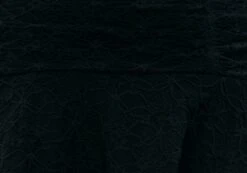 Asymmetric Lace Mini Skirt 21 Asymmetric Lace Mini Skirt -GLASSONS CLOTHING daisy lace mini skirt black imagefront ss89715lac