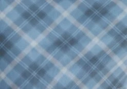 Printed Mini Mesh Dress -GLASSONS CLOTHING delica mini mesh bubble check imagefront ds128708rchk