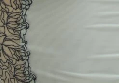 Lace Detail Cropped Cami 36 Lace Detail Cropped Cami -GLASSONS CLOTHING jeronimo lace tank lost pearlblack imagefront tv111894lac