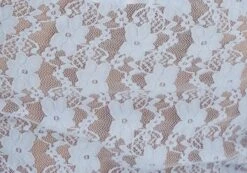 Off Shoulder Lace Long Sleeve Top 31 Off Shoulder Lace Long Sleeve Top -GLASSONS CLOTHING lexi longsleeve lace top icecap imagefront tl116985lac