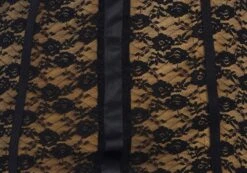 Lace Cupped Mini Dress -GLASSONS CLOTHING maeve mesh mini dress blacknude imagefront ds92784lce