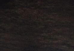 Sheer Backless Long Sleeve Crop Top -GLASSONS CLOTHING mila underwire super crop black imagefront tl112008msh