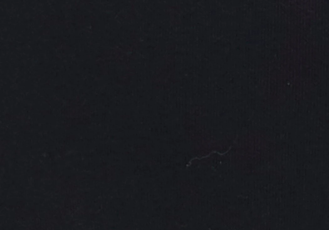 Classic Sweatpant 7 Classic Sweatpant - Image 5